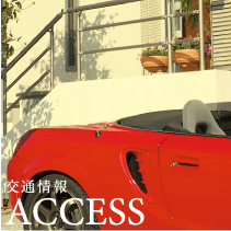 ACCESS